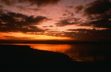 NW LAND 014