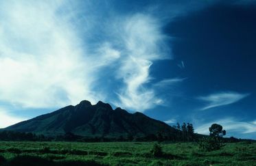 NW LAND 028