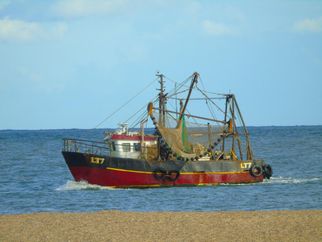 JC 029