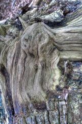 Texture 032 