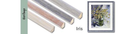 Iris