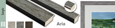 Aria