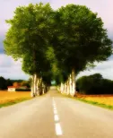 Where else but France