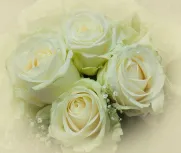 Rose bouquet