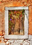 Ivy lace curtain