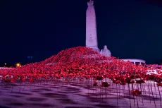 MC 19 005 - Poppy display Navel memorial Plymouth - a-large-group-of-r