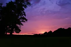 MC 19 048 - Sunset - a-tree-in-a-field