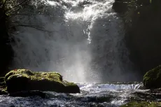 MC 19 049 - Waters meet waterfall Exmoor - a-stream-of-water