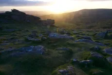 MC 19 053 - Early morning  landscape - a-grassy-field-with-rocks-and-g