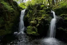 MC 19 071 - Venor fall, Dartmoor - a-waterfall-in-a-forest
