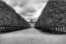 MC 19 085 - The garden at the Louvre, Paris - a-black-and-white-photo-