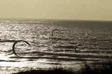 MC 20 087 - Kite surfing Thurston sands - a-group-of-birds-flying-over