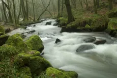 MC 20 089 - Golitha falls Cornwall on a wet day - a-stream-in-the-wood