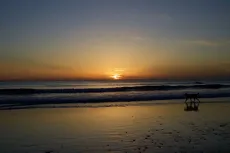 MC 20 103 - a-dog-is-walking-on-the-beach-at-sunset