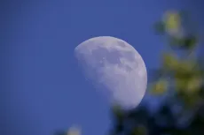 MC 20 104 - a-half-moon-is-seen-through-the-trees