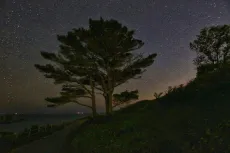 MC 20 106 - a-tree-on-a-hill-with-a-starry-sky