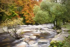MC 20 130 - Dartmeet - a-river-in-the-woods-with-rocks-and-trees