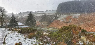 MC 21 139 - Snow storm.. two bridges Dartmoor - snow-falling-on-the-gr