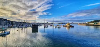 MC 21 146 - Plymouth...New years day - a-harbor-filled-with-boats-and-