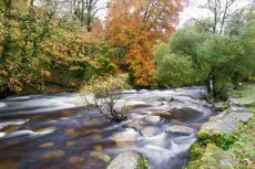 MC 21 148 - Dartmeet - wall decor idea for corporate healthcare commer