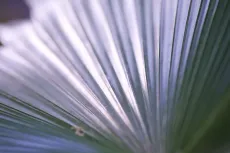 NW FL 025 