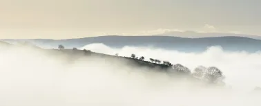 NE 21 008 