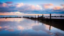 Reflecting - The Warren Folkestone
