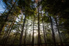 Old Gunpowder Trails