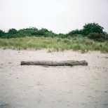 Pembrokeshire log