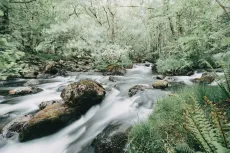 River Duddon
