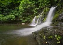 TB 19 175 - Cotter force - a-waterfall-in-the-forest