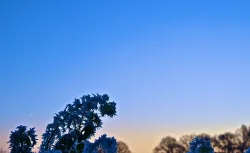 Frozen field under crystal morning sky 