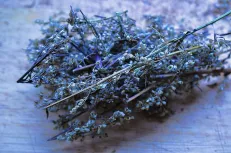 Herbs