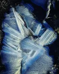 Ice cold puddle 