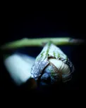 Hidden growth 