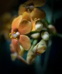  Colour your life