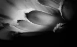 Shift between space