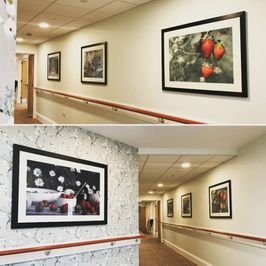 Installation of framed fine art for care homes hospitality corporate c