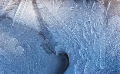 Texture 020