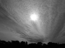 JC BW014 