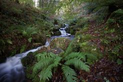 MC 23 365 - Horner Woods