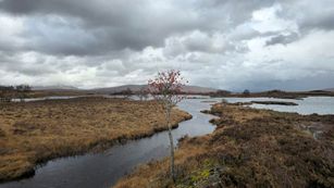 MC 24 441 - Glencoe  Scotland
