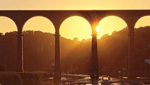 MC 24 445 - Matt Cornish Calstock