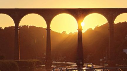 MC 24 445 - Matt Cornish Calstock