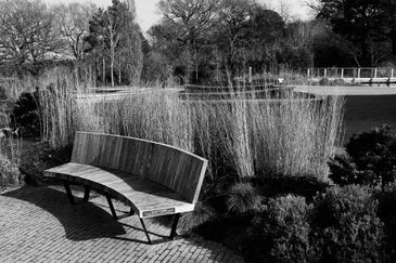 MC 25 491 - Wisley 