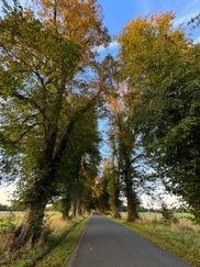 NW Harpenden 054