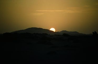 NW LAND 050