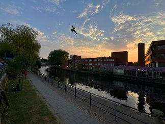 NW Norwich 072