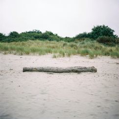 RD 21 099 