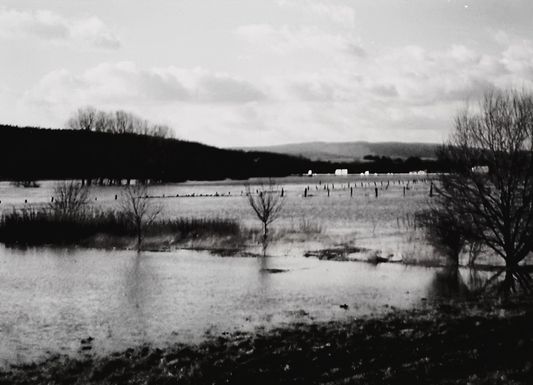 Hochwasser 95 a